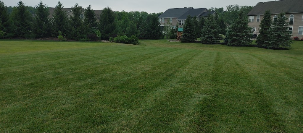 lawn mowing in seville