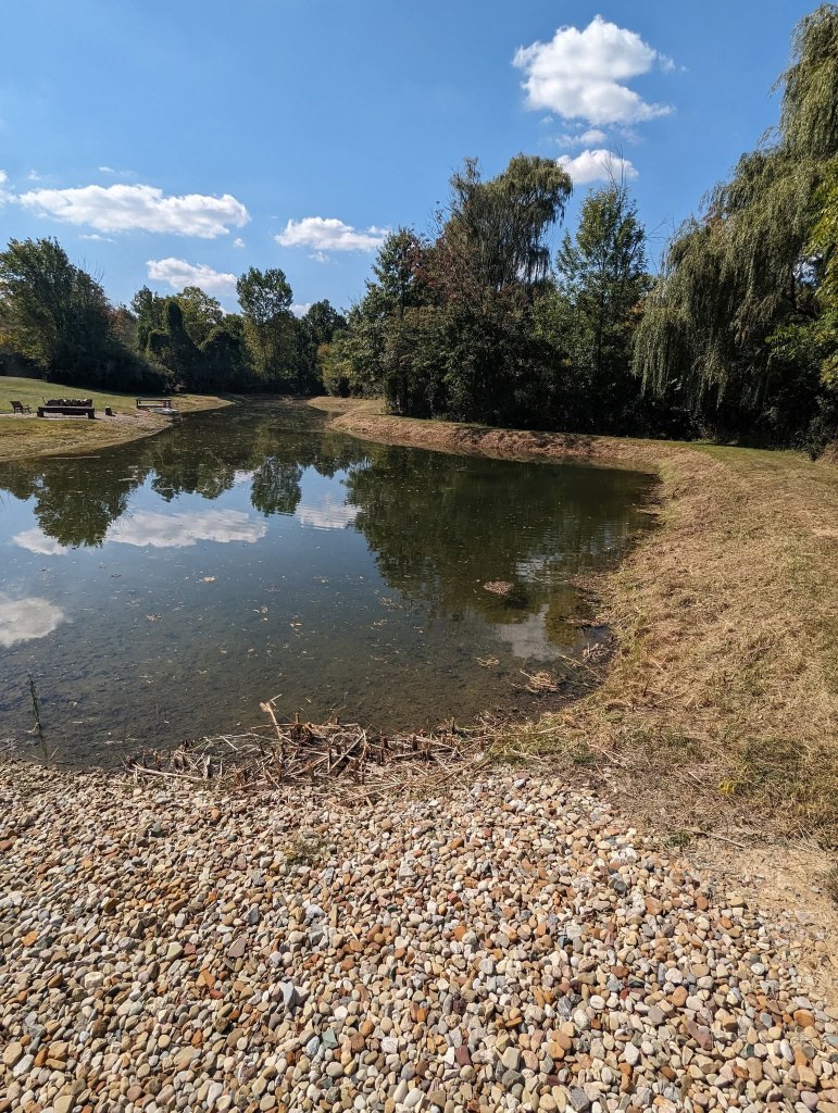 After Brush Clearing Medina Ohio
