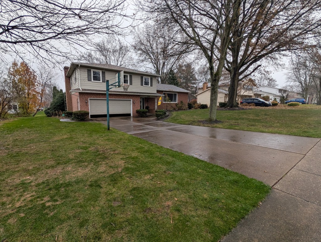 leaf cleanup wadsworth after