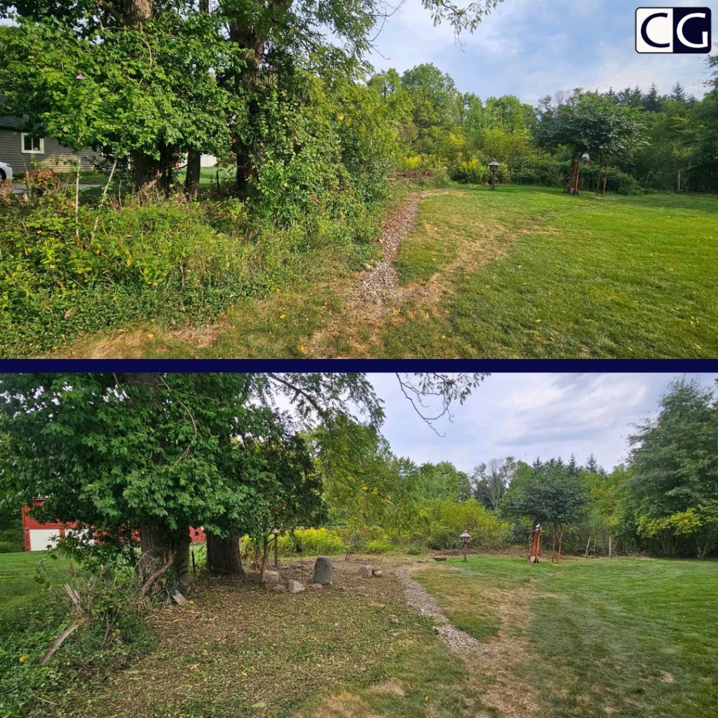Brush Clearing Westfield Center