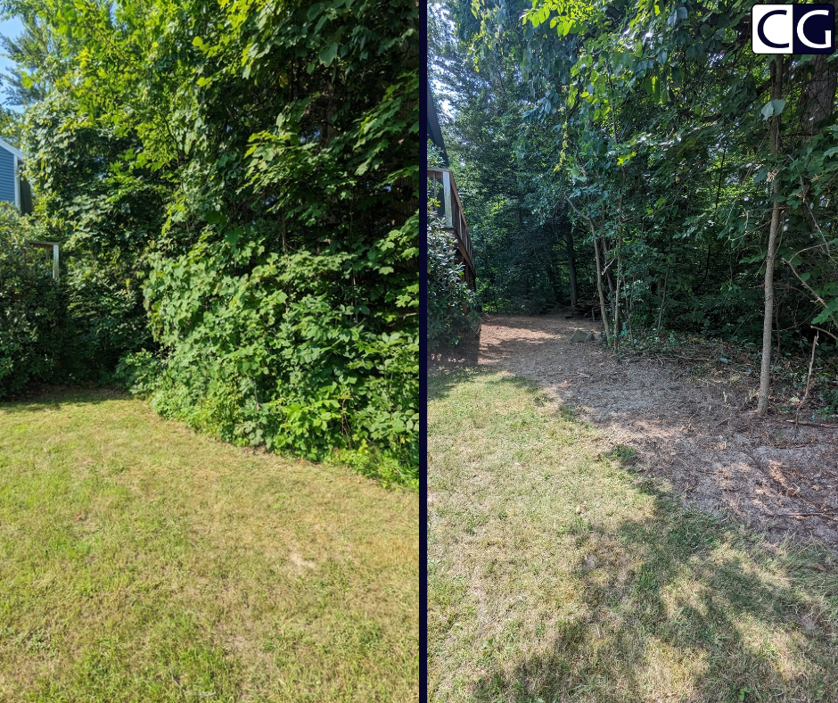 brush clearing in lodi