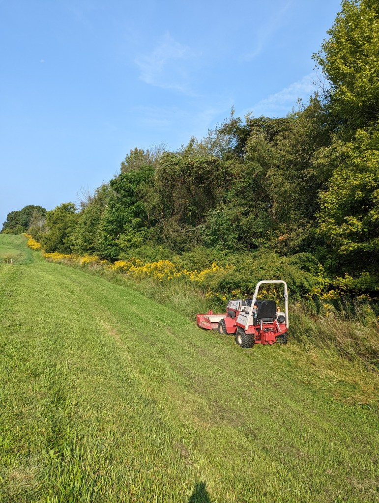 brush hogging sharon center