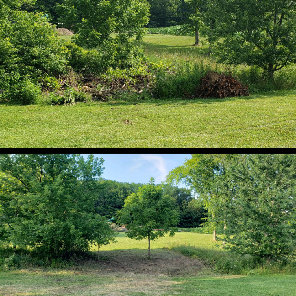 flowerbed removal in medina