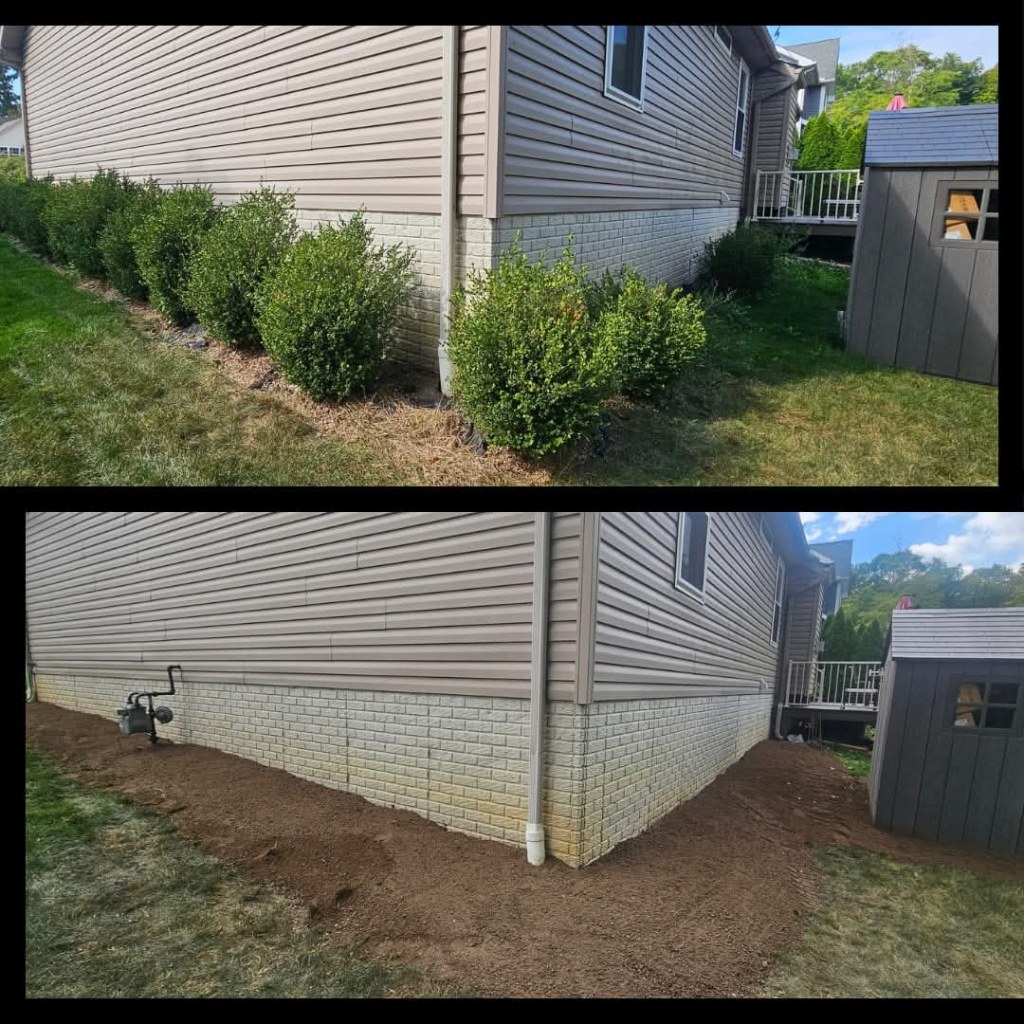 plant removal Medina City