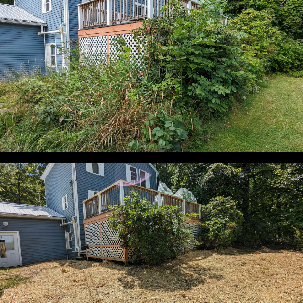 flowerbed removal and grass planted lodi ohio