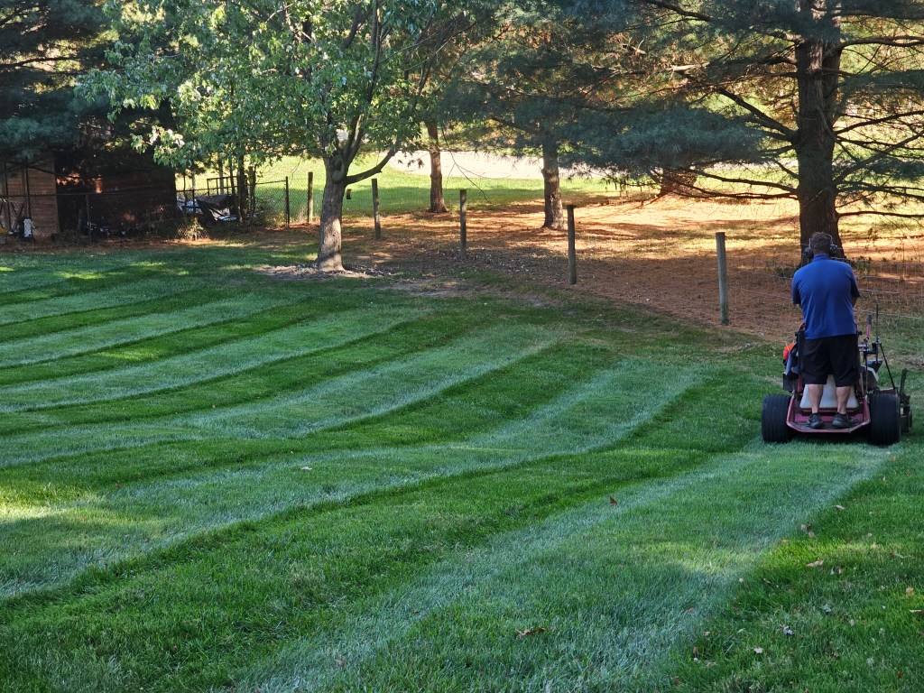 Lawn Mowing in Medina City