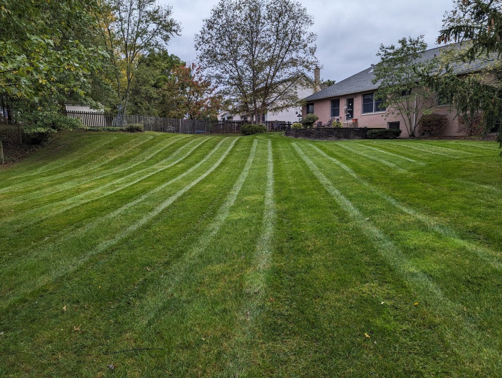 lawn mowing in medina city