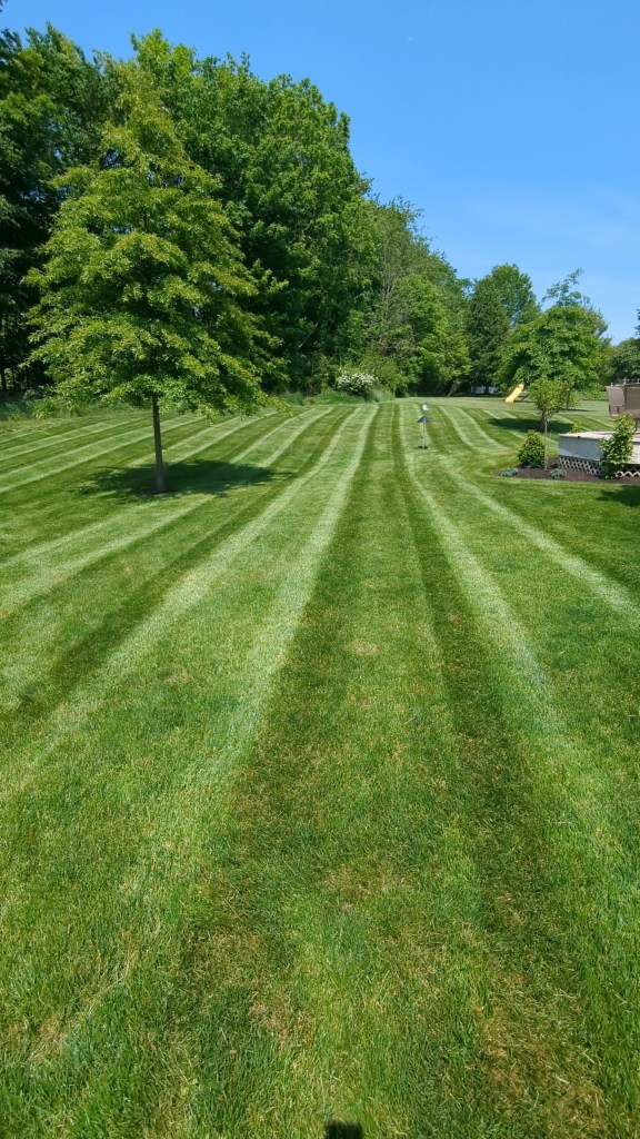 lawn mowing stripes in montville