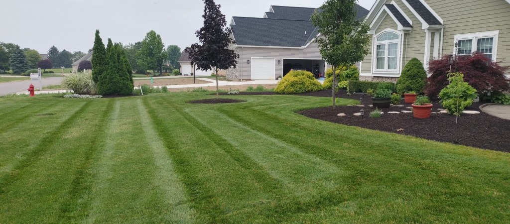 lawn mowing in fox meadows