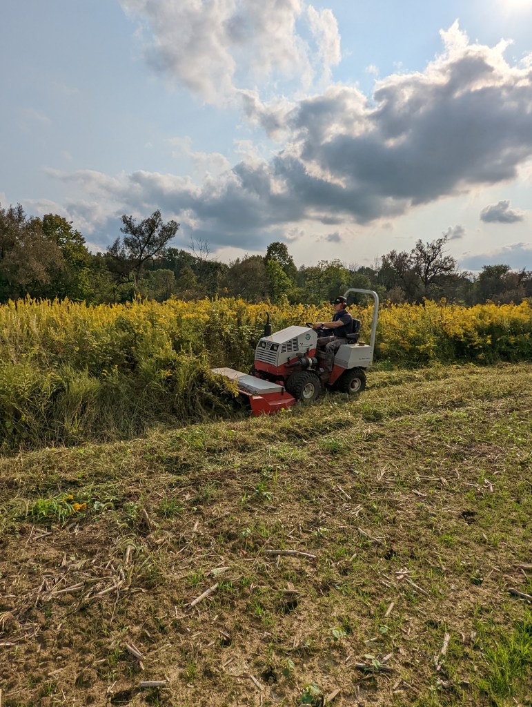 brush hogging in seville