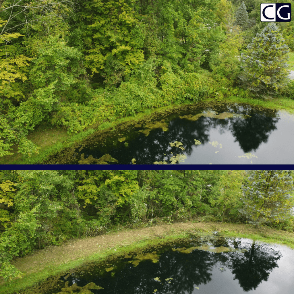 wood and brush cleared in montville