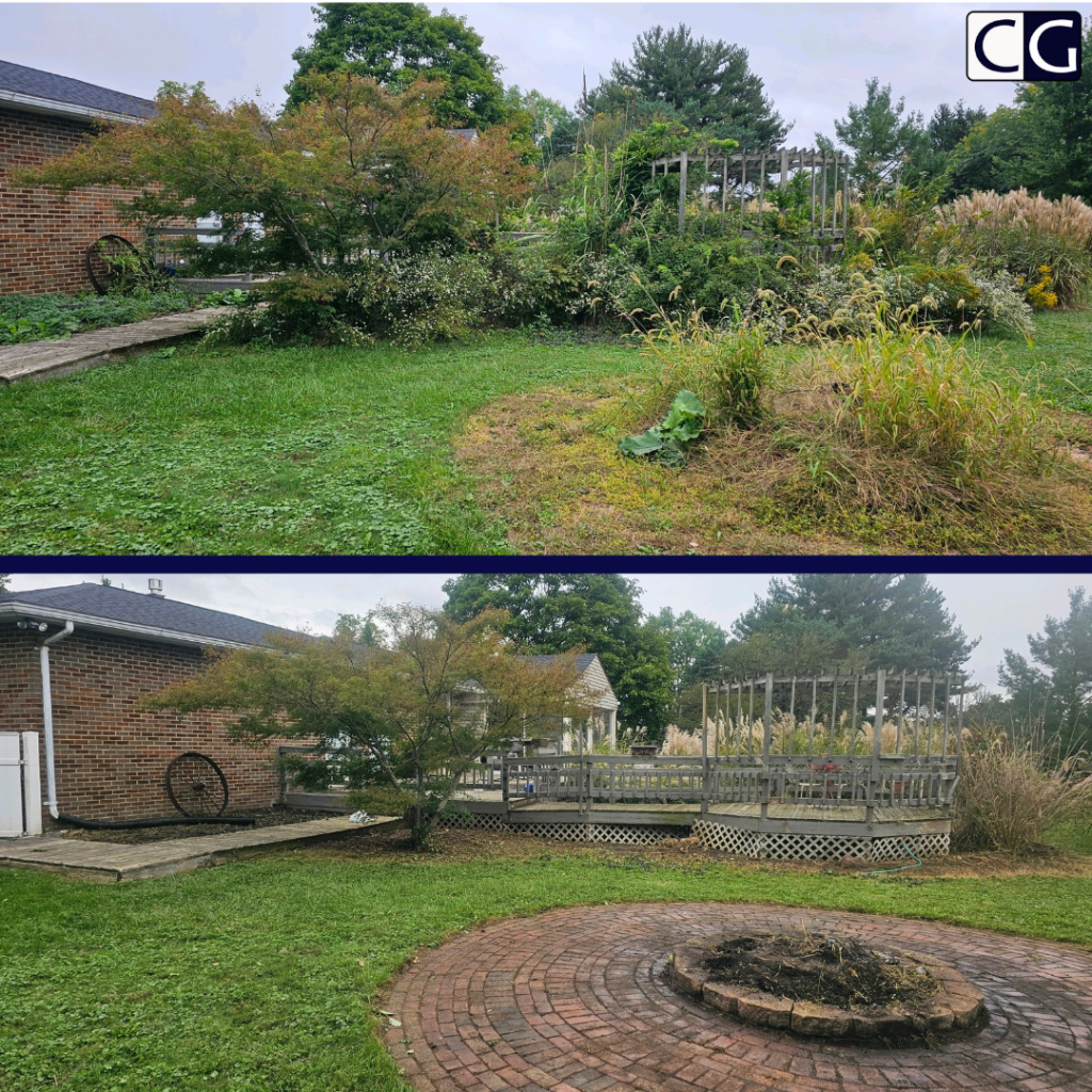 service area medina ohio