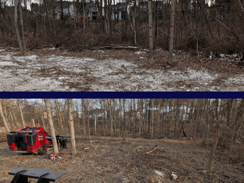 Reclaiming Overgrown Property in Northeast Ohio: Brush Clearing, Briar Removal & Tree Line Cleanup