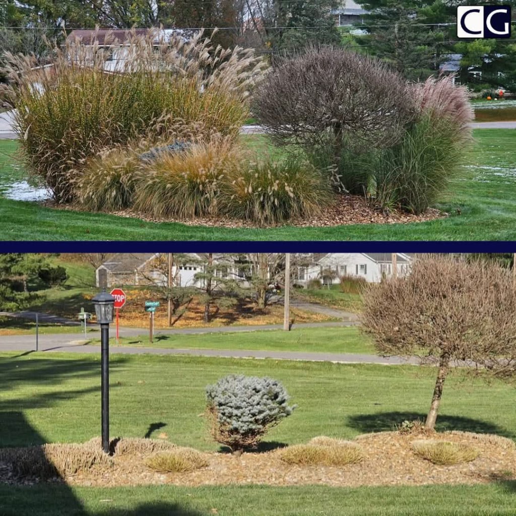 Fall cutbacks in Montville Township Medina Ohio