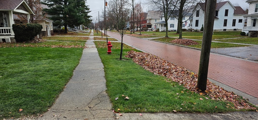 Leaf blowing Medina Ohio