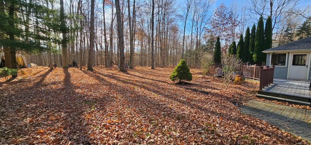 Leaf Removal Seville Ohio