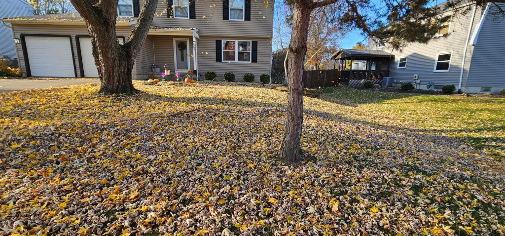 Leaf cleanup in Medina Ohio