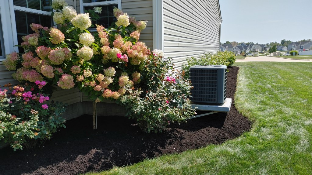 hydrangea montville township medina Ohio