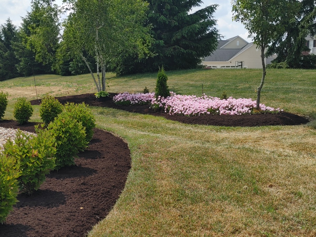 The Best Low-Maintenance Landscape Plants for Medina & Wayne County, Ohio