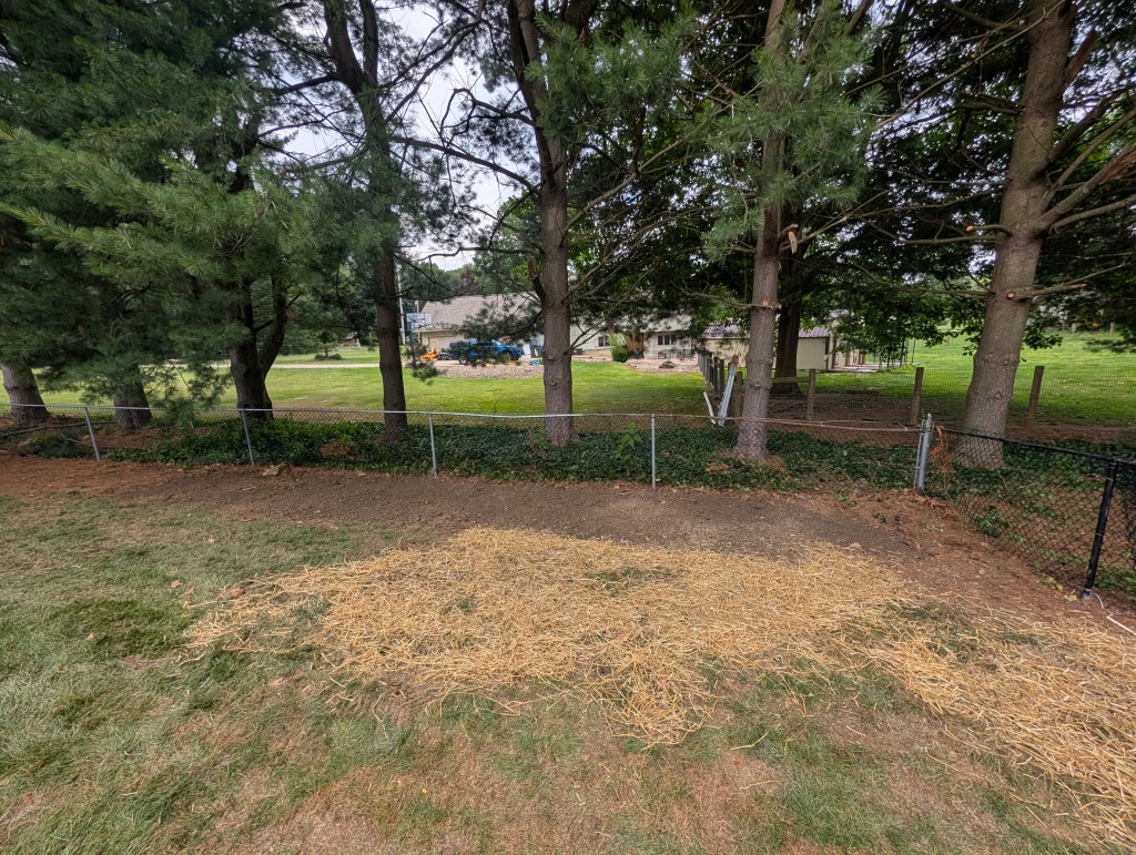 Bushes removed and grass planted in Copley Ohio